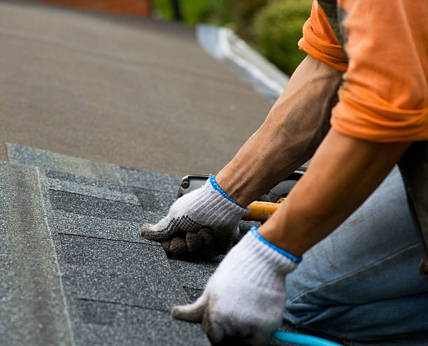 Best Storm Damage Roof Repair  in Versailles, MO